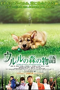 Главный постер фильма «Чудесный лес Улулу (2009)»