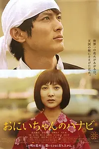 Постер к фильму «Фейерверк из сердца (2010)»