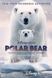 Главный постер фильма «Белая медведица (2022)»