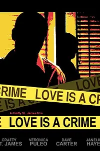 Главный постер фильма «Love Is a Crime (2009)»