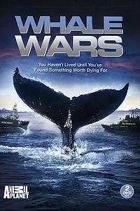 Постер к сериалу «Китовые войны (2008)»