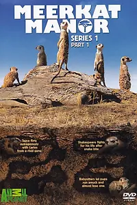 Постер к сериалу «Поместье сурикат (2005 - 2008)»