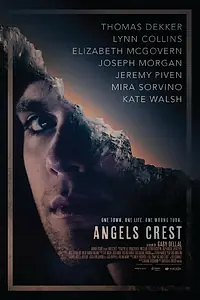 Постер к фильму «Герб ангелов (2011)»