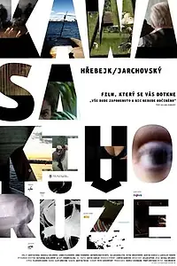 Главный постер фильма «Роза Кавасаки (2009)»