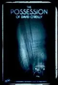 Постер к фильму «Одержимость Дэвида О'Райли (2010)»