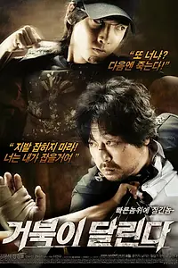 Постер к фильму «Бегущая черепаха (2009)»