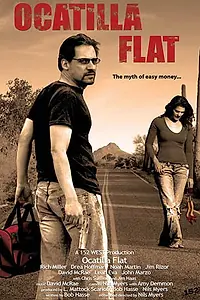 Постер к фильму «Попадание (2008)»