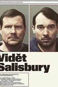 Главный постер фильма «Увидеть Солсбери (2022)»