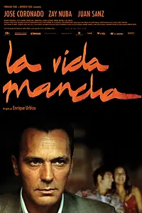 Постер к фильму «Пятно жизни (2003)»
