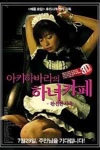 Главный постер фильма «Идеальное образование: Горничная для тебя (2010)»