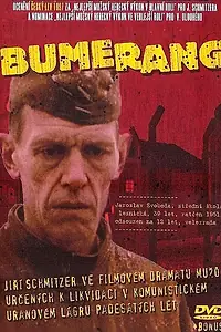 Постер к фильму «Бумеранг (1996)»