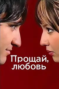 Постер к фильму «Прощай, любовь (2006)»