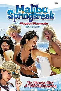 Постер к фильму «Malibu Spring Break (2003)»