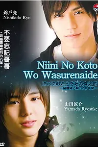 Главный постер фильма «Не забывай о Ниини (2009)»