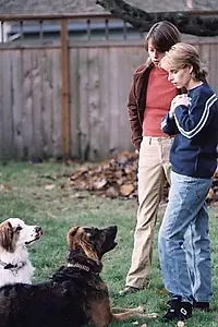 Постер к фильму «Leave It! (2002)»