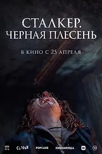 Главный постер фильма «Сталкер. Черная плесень (2023)»
