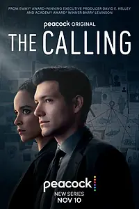 Постер к сериалу «Призвание (2022)»