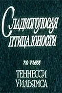Главный постер фильма «Сладкоголосая птица юности (1978)»