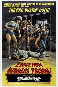 Главный постер фильма «Побег из женской тюрьмы (1978)»