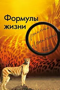 Постер к сериалу «Формулы жизни (2010)»