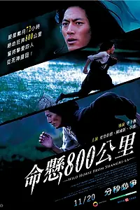 Постер к фильму «Wild Horse from Shangri-La (2009)»