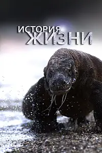 Главный постер сериала «История жизни (2012)»
