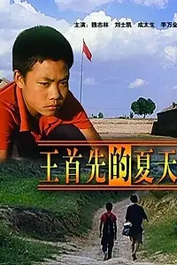 Постер к фильму «Лето Ван Шоусяня (2002)»