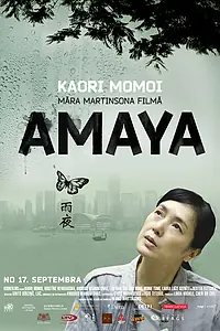 Главный постер фильма «Гонконг, конфиденциально (2010)»