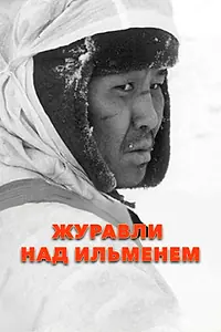 Главный постер фильма «Журавли над Ильменем (2005)»
