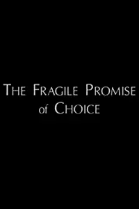 Постер к фильму «The Fragile Promise of Choice: Abortion in the United States Today (1996)»