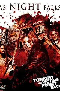 Постер к фильму «As Night Falls (2010)»
