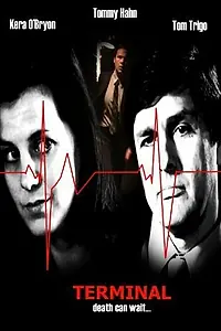 Постер к фильму «Terminal (2006)»