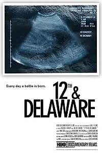 Постер к фильму «12th & Delaware (2010)»