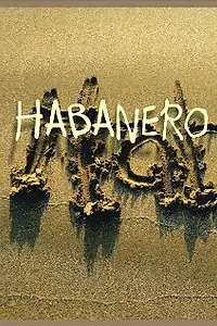 Постер к фильму «Гаванец»