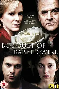 Постер к сериалу «Букет колючей проволоки (2010)»