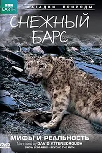 Главный постер фильма «BBC: Снежный барс: Мифы и реальности (2007)»