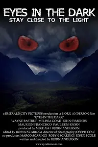 Постер к фильму «Глаза в темноте (2010)»