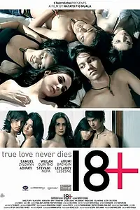 Постер к фильму «18+ (2010)»