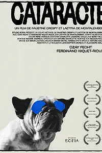 Постер к фильму «Катаракта (2021)»