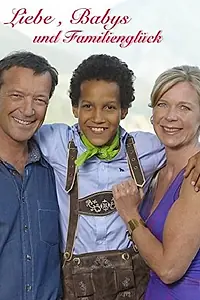 Постер к фильму «Liebe, babys und familienglück (2010)»
