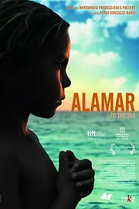 Постер к фильму «К морю (2009)»