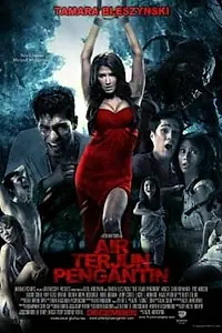 Постер к фильму «Водопад невесты (2009)»