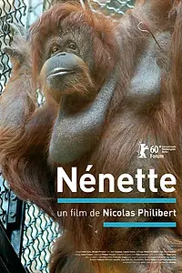 Постер к фильму «Ненетт (2010)»