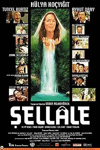 Постер к фильму «Водопад (2001)»