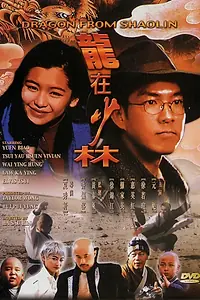 Постер к фильму «Дракон из Шаолиня (1996)»