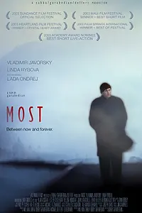 Постер к фильму «Мост (2003)»