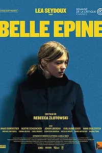 Главный постер фильма «Прекрасная заноза (2010)»