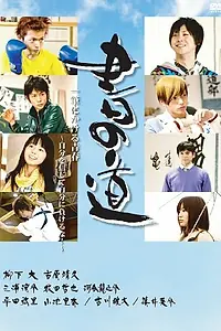 Постер к фильму «Способ письма (2009)»