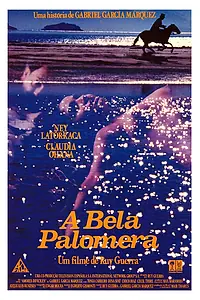 Главный постер фильма «Сказка о прекрасной голубятнице (1988)»