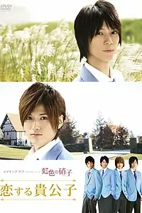 Главный постер фильма «Радужное стекло (2009)»
